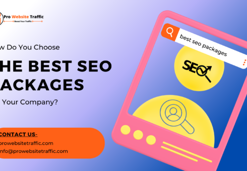 Choose The Best SEO Packages For Your Company